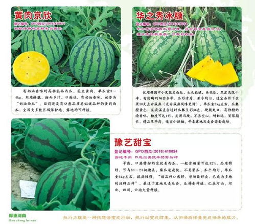 西瓜高产栽培管理技术一 西瓜对外界环境的要求
