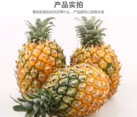 预售 广东徐闻香水大菠萝 鲜菠萝 产地直供5斤装 3月11日按下单顺序发货