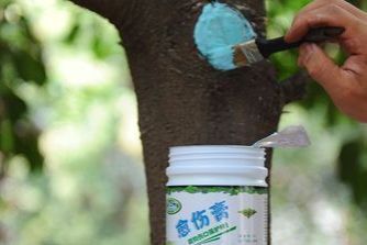 果树开花后还能喷石硫合剂吗