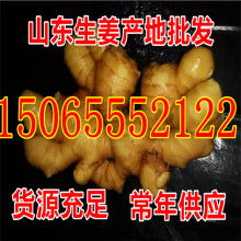 2023生姜价格 报价 生姜批发 黄页88蔬菜网 