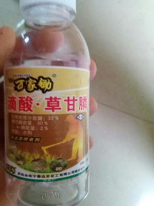 滴酸草甘膦 与 草甘膦异丙胺盐 哪个比较好