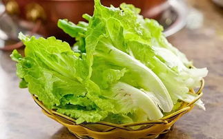 十月份合适种什么菜 