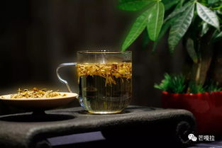 夏日消暑最适合喝哪几种茶