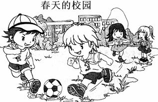 二年级看图写话 