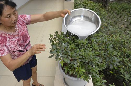 洗衣水浇花可以吗 