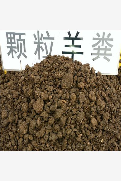 羊粪晒干影响肥效吗