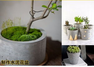 水泥花盆是不是骗人 