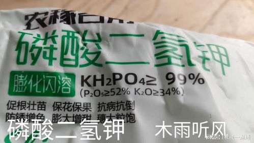 辣椒打磷酸二氢钾几天见效