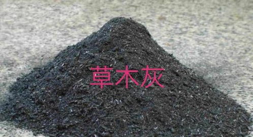 使用草木灰后多久可施人尿