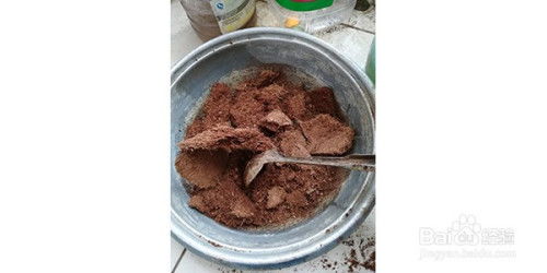 怎么用椰土种月季 