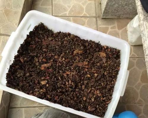 堆肥生蛆了还能用吗