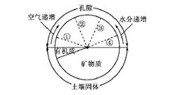 下图为某地降水量与河流径流量日变化示意图.其中最能反映集水区内植被覆盖良好的流量曲线是A.①B.②C.③D.④ 青夏教育精英家教网 
