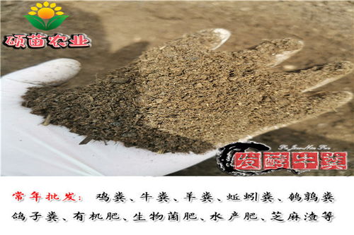 有机肥一吨是多少方