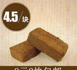 营养土和椰砖混合比例