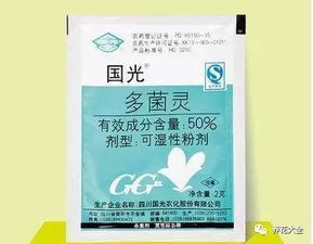 水培瓶里加点药片,不但能消除臭味,而且不招虫 