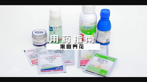 家庭养花 用药指南 