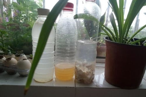 用厨余垃圾自制花肥原理是什么
