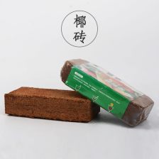 用椰砖怎么配营养土