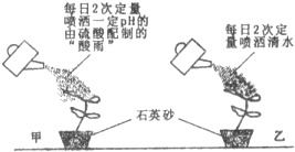 土壤对植物生长的影响实验
