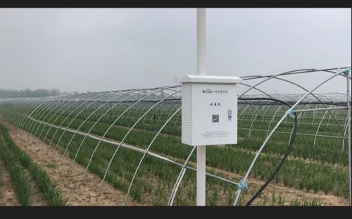 智能水肥一体化在蔬菜温室大棚上的应用
