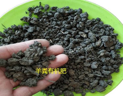 羊粪发酵不加发酵剂可以吗 有什么好方法 
