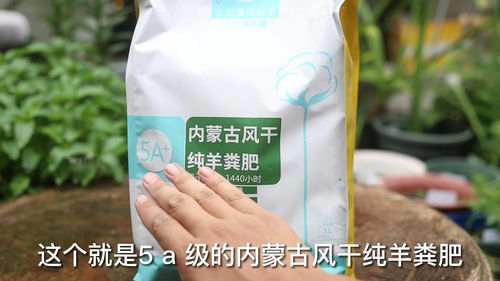 养花施什么有机肥 园艺师教你,使用发酵羊粪肥,所有植物都通用 