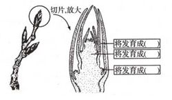 青夏教育精英家教网