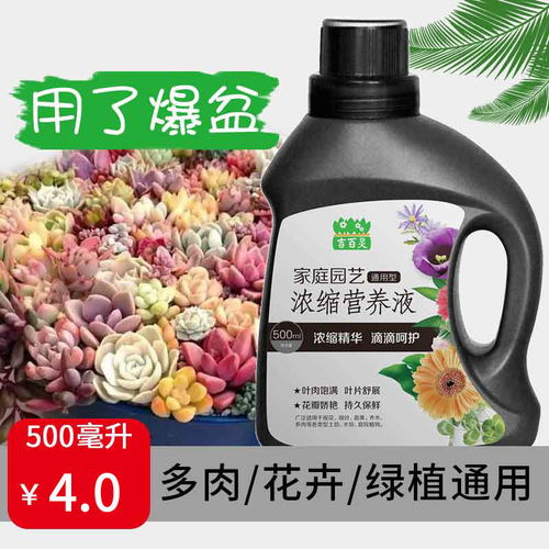花肥用花卉营养液好还是复合肥好