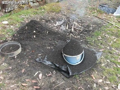 生物质电厂燃烧后草木灰如何处理
