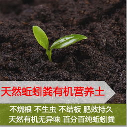 种菜和种花营养土一样吗