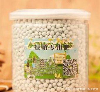 花店的营养液与家用的复合肥哪个养花好呢 