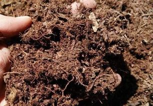 种花营养土有保质期吗