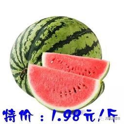 今日特价蔬果闪亮登场