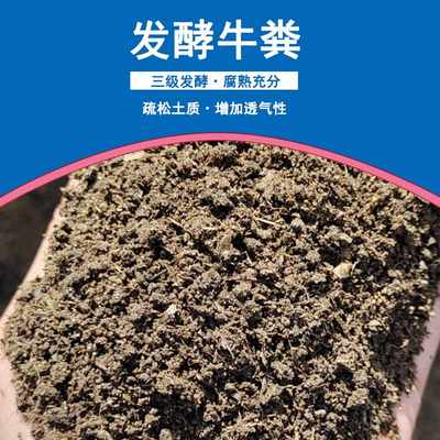 一方生牛粪发酵后多少斤