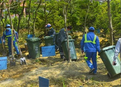 广州花都 垃圾分类为乡村振兴擦亮 底色 