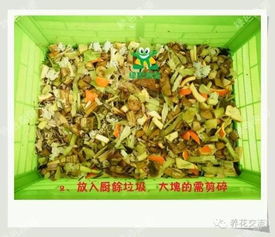 堆肥真的那么脏臭么 老园丁教你最清新 有效的方 