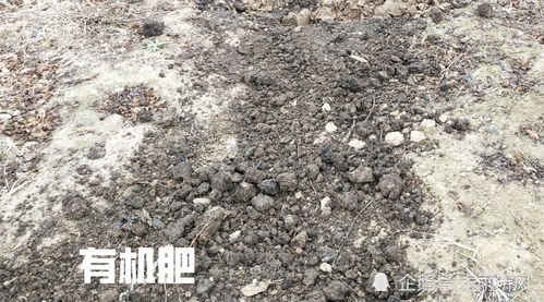 有机肥的制作过程视频