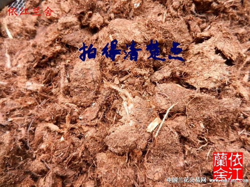 德国大汉泥炭 5斤包装 纤维614 25 45 