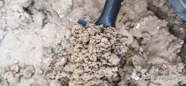 精髓 教你怎么在家自制营养土,比外面买的好多了 