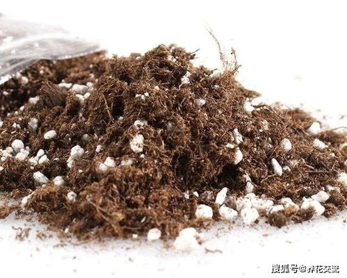 泥炭土配土比例怎么算