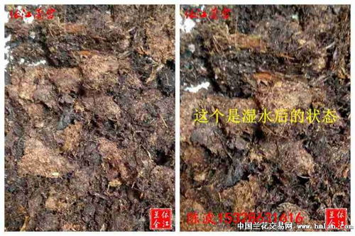 德国大汉泥炭 5斤包装 纤维614 25 45 