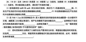 高二植物杂交育种问题 
