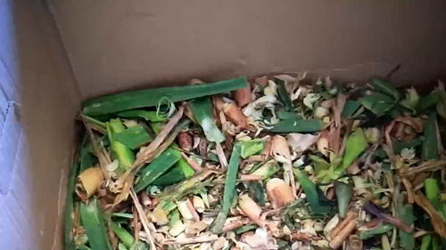 营养土的制作方法简单