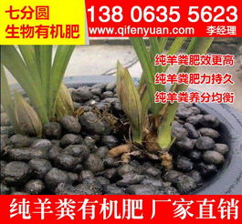 山东省纯羊粪批发 散装发酵羊粪有机肥价格 