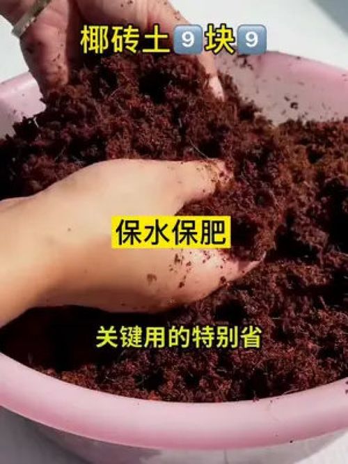 椰砖营养土,种花种菜好帮手 