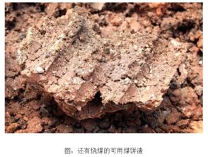 芦荟怎么种植 .用土还是沙子 