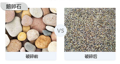 营养土里可以掺石子吗视频