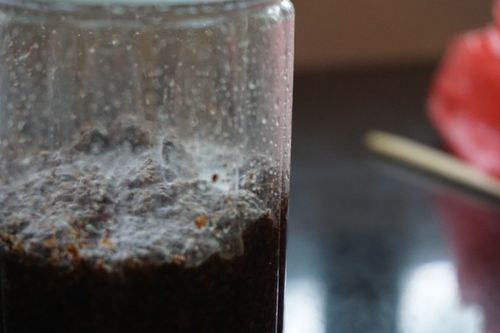 菜籽饼怎么发酵做肥料最简单的方法