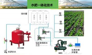 智慧农业 智能水肥一体化技术在应用中要注意哪些问题