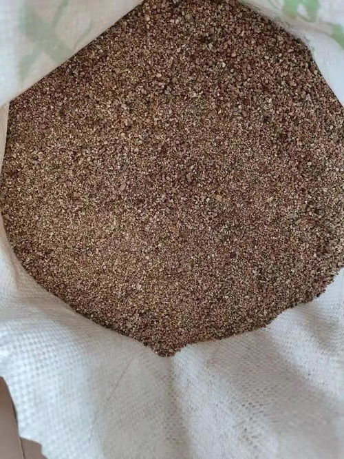 2种发根神器,适合多肉,解决多肉不长根,实用性很强 多肉植物 植料 河沙 网易订阅 
